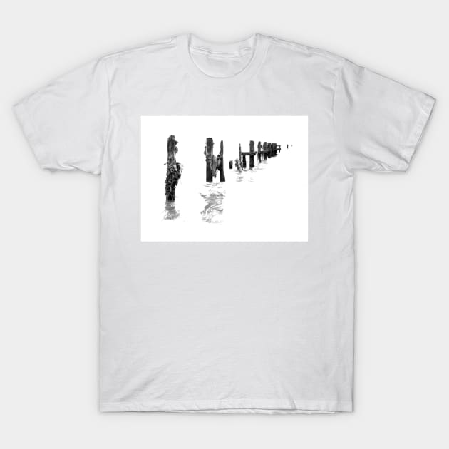 Wavebreakers T-Shirt by zglenallen